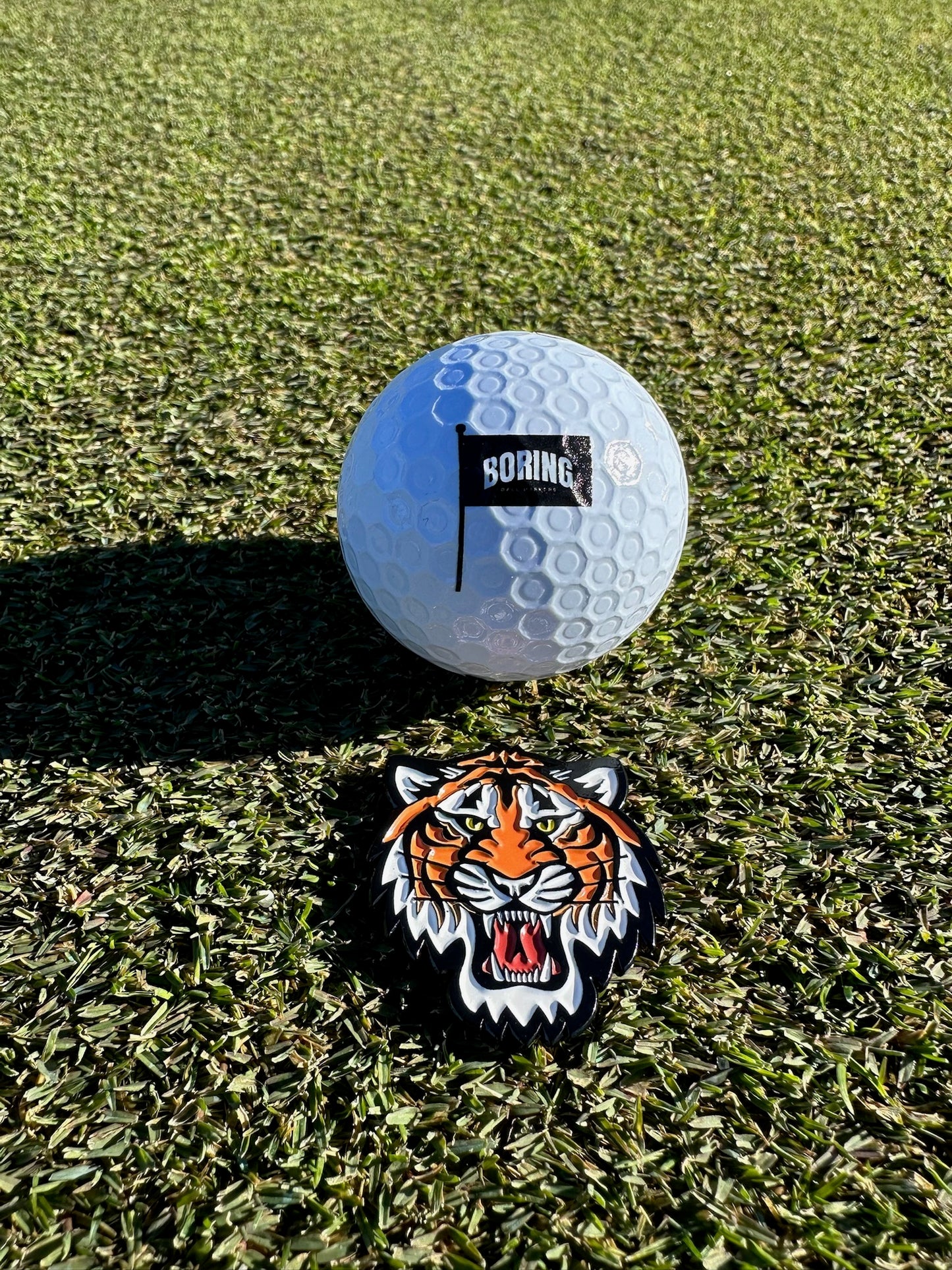 Boring Tiger