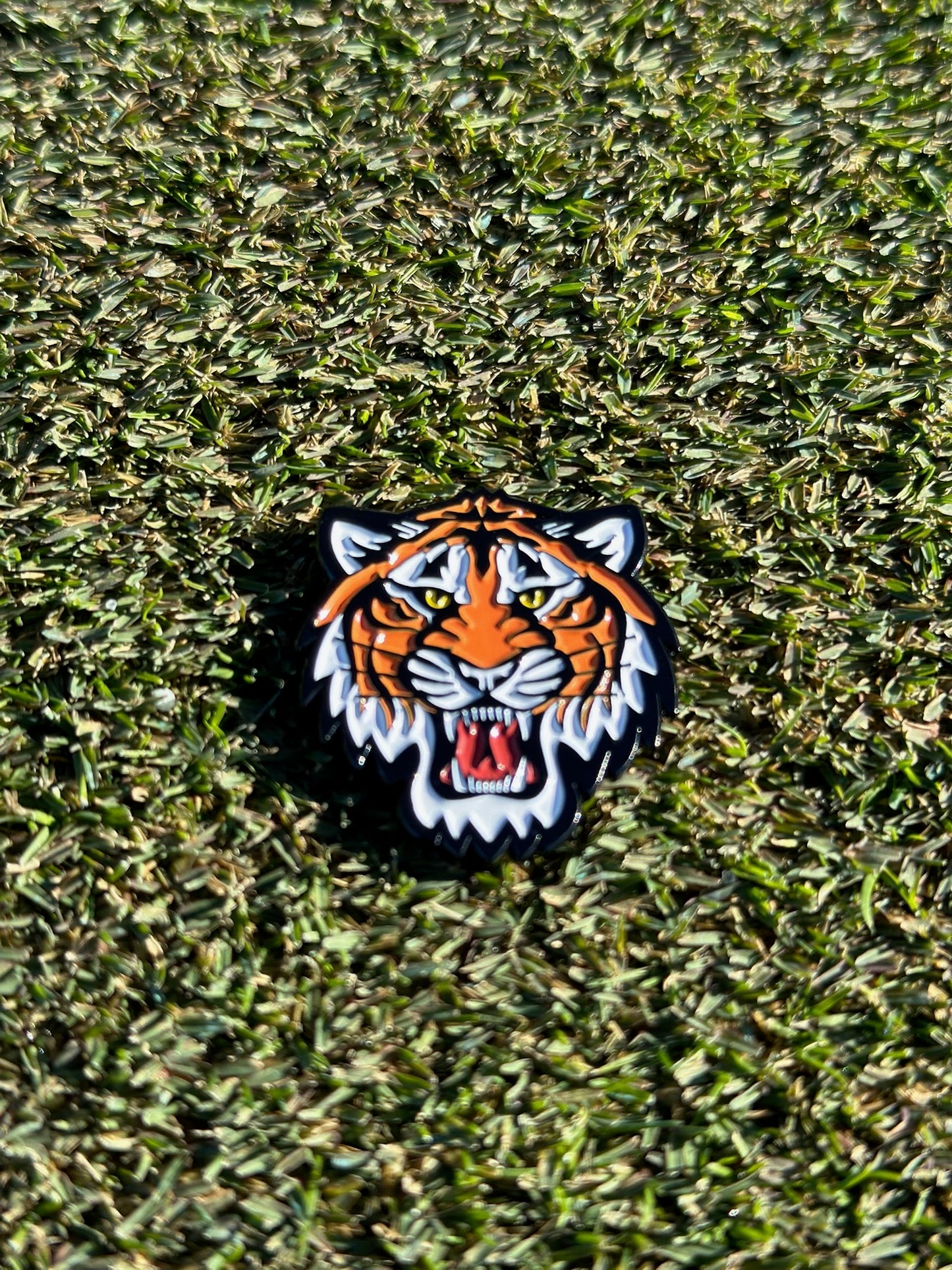 Boring Tiger