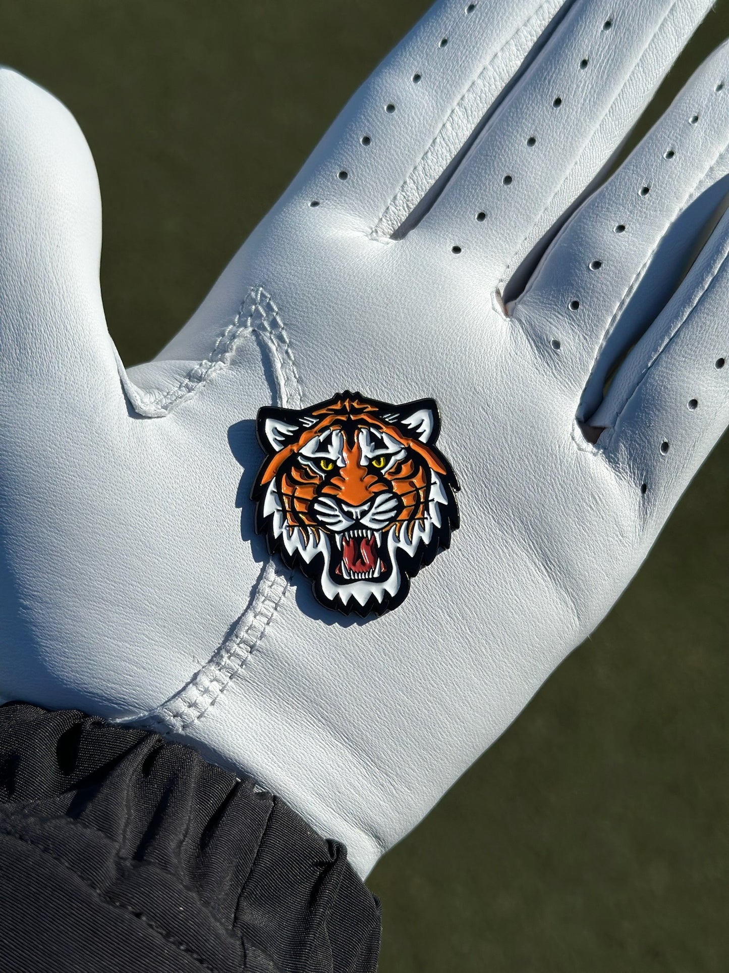 Boring Tiger