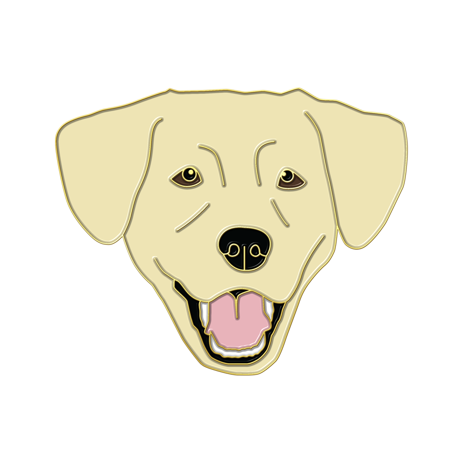 Boring Yellow Lab