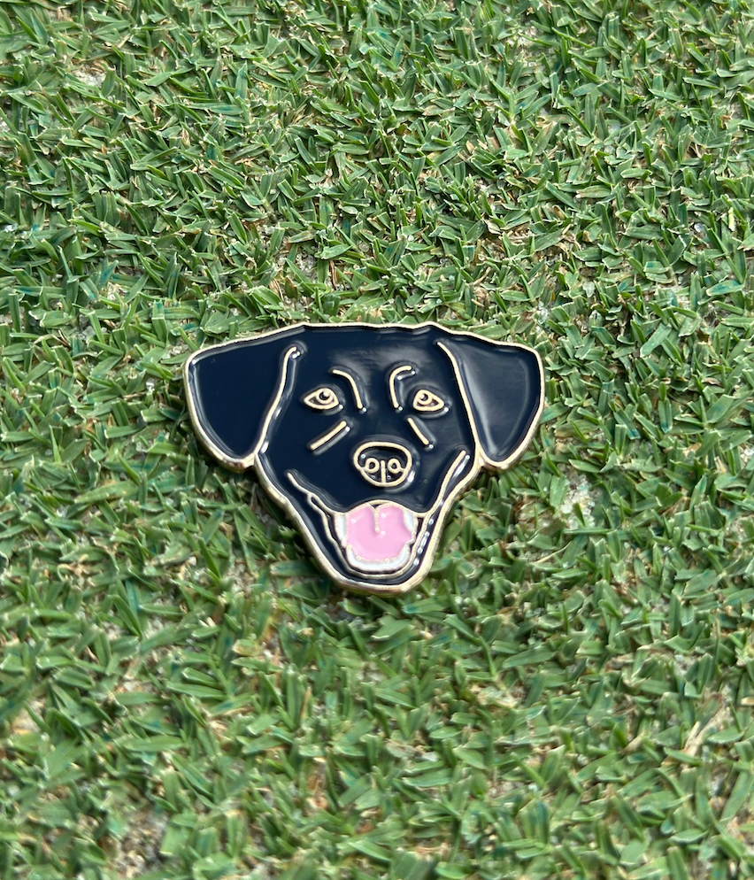 Boring Black Lab