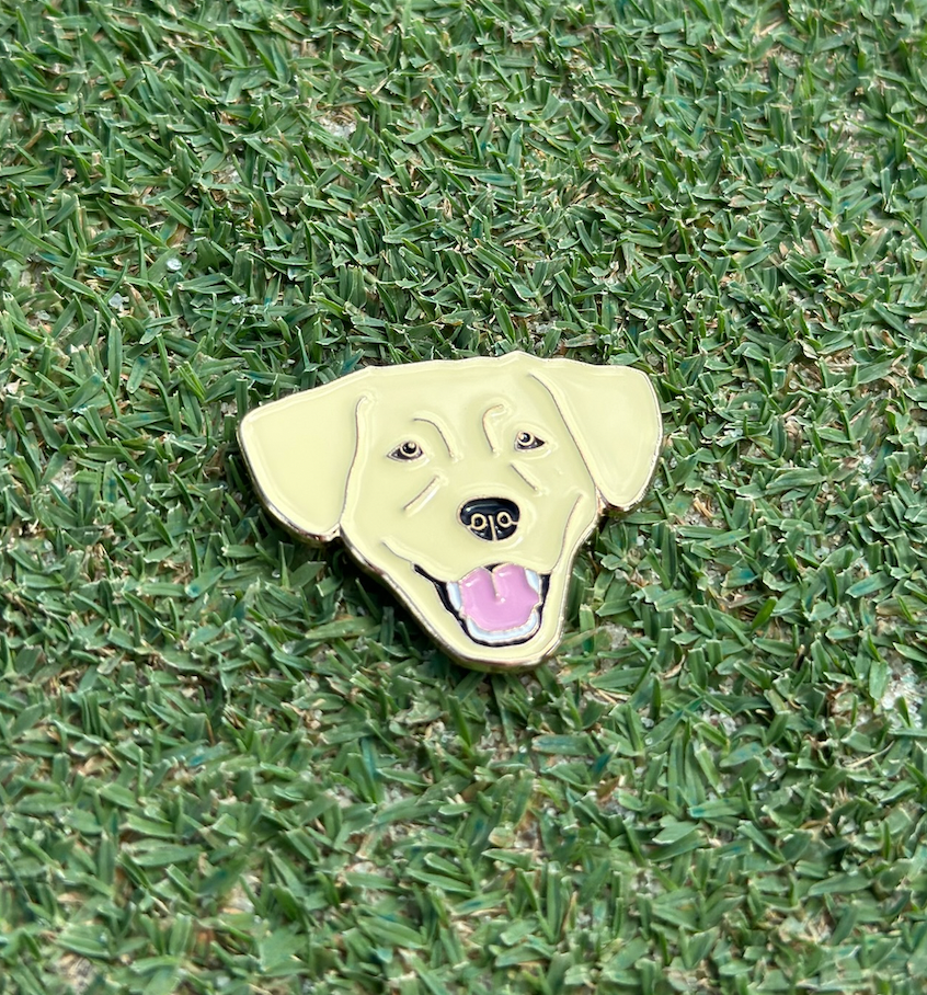 Boring Yellow Lab
