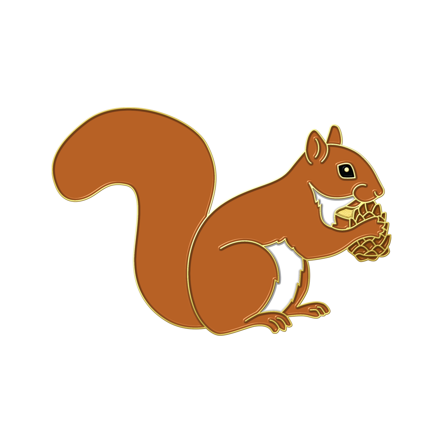 Boring Squirrel