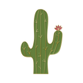 Boring Cactus