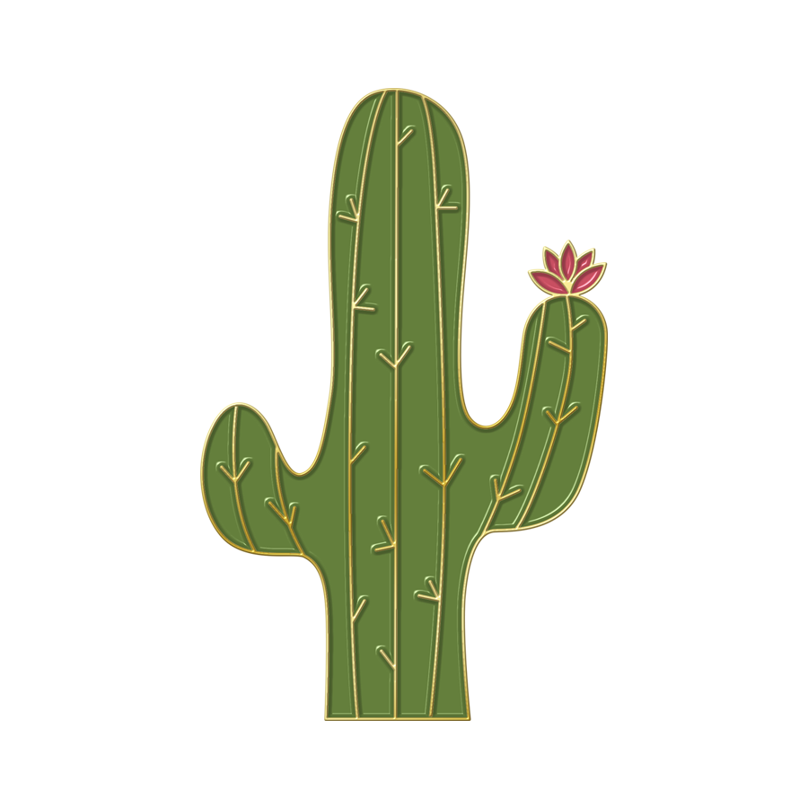 Boring Cactus