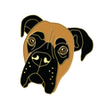 Boring Boxer