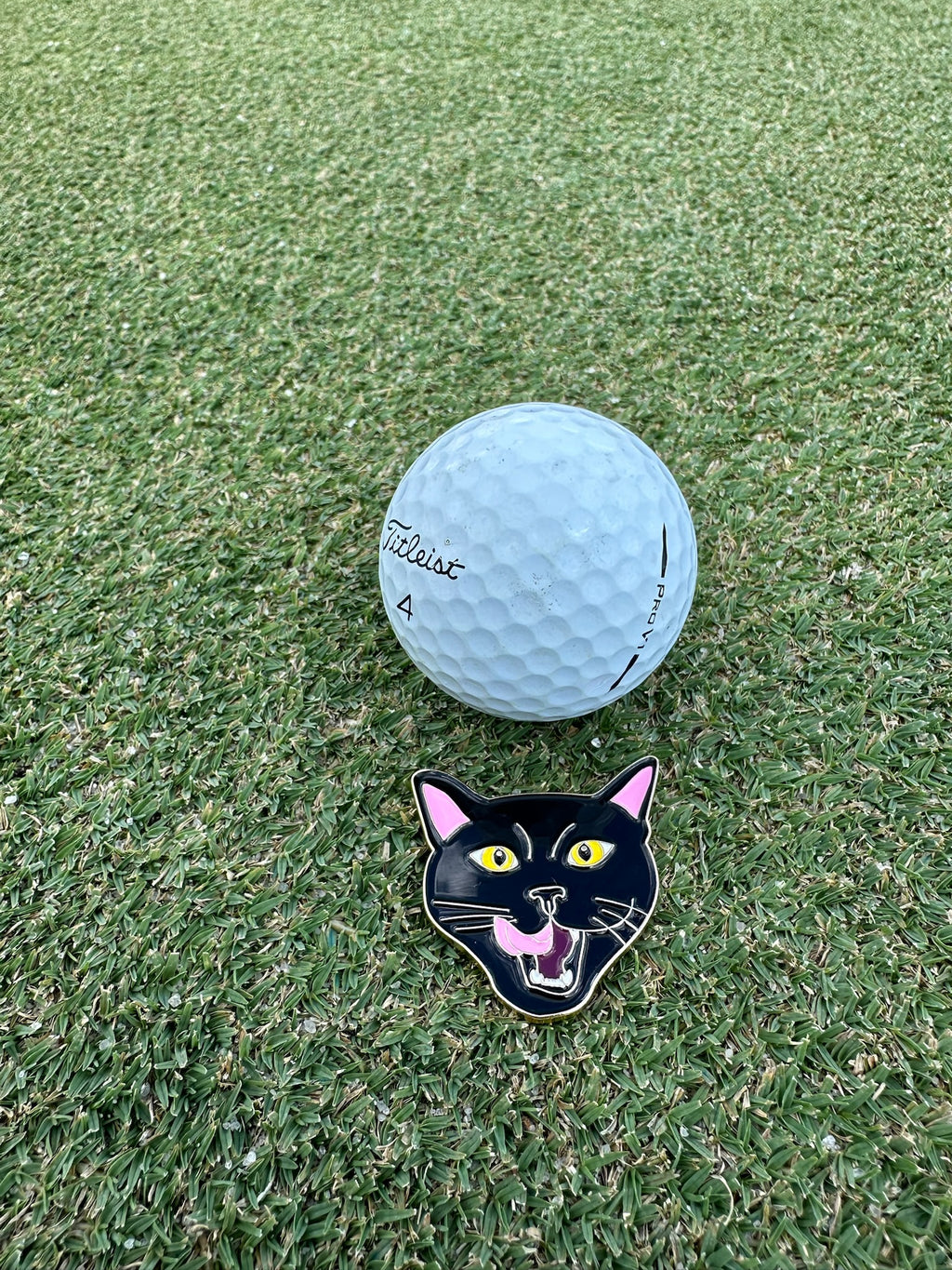 Boring Black Cat