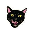 Boring Black Cat