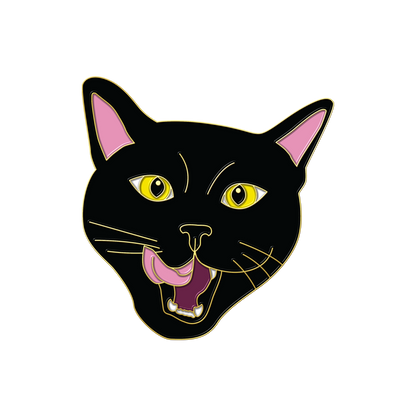 Boring Black Cat