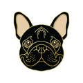 Boring Frenchie