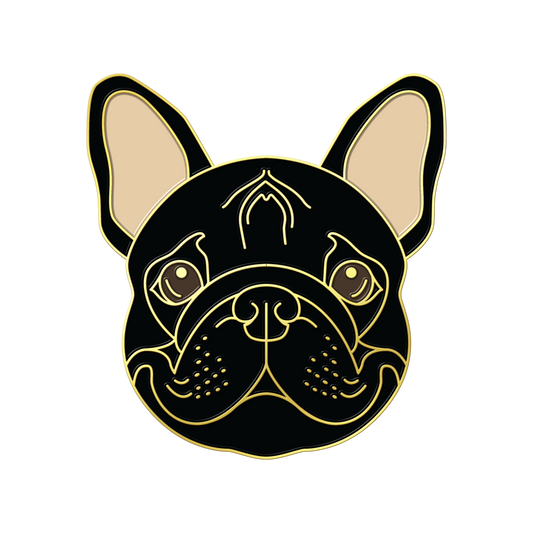 Boring Frenchie
