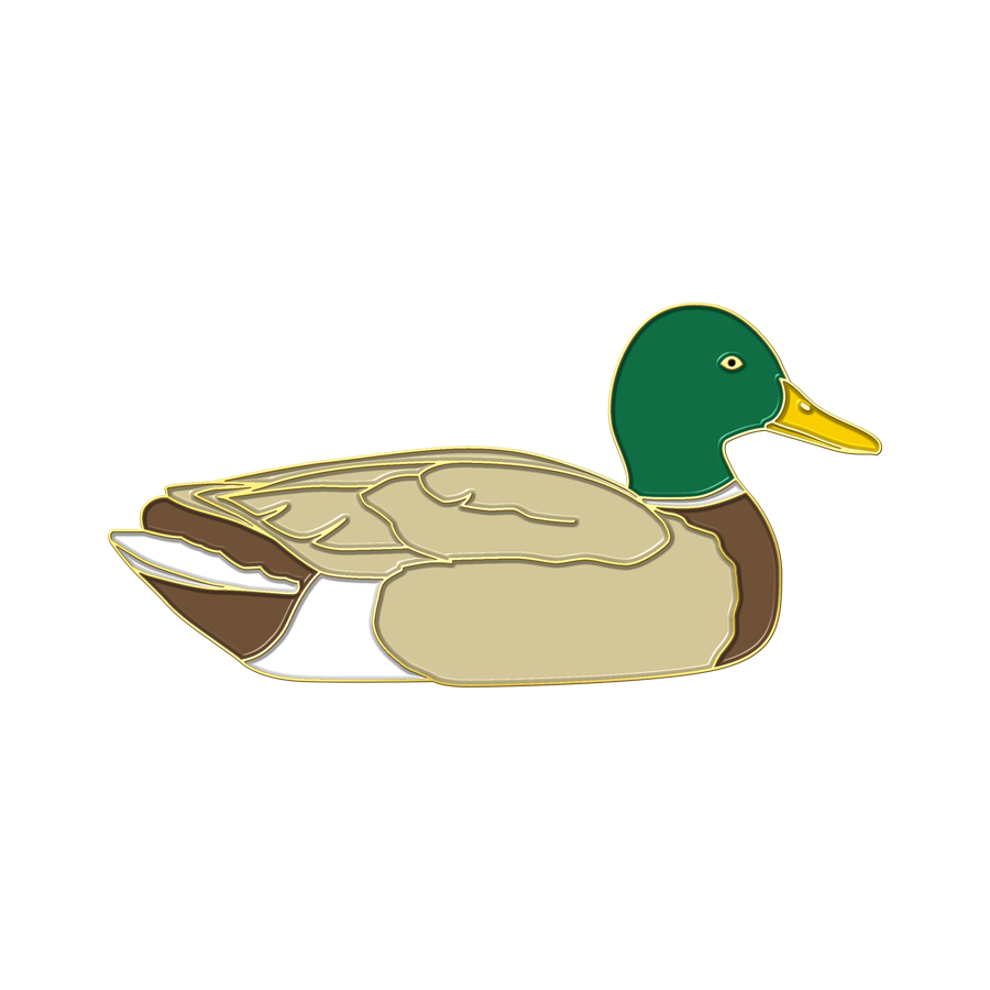 Boring Duck