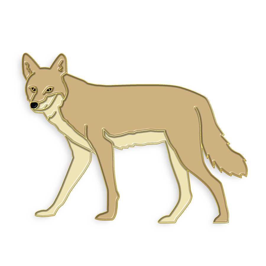 Boring Coyote