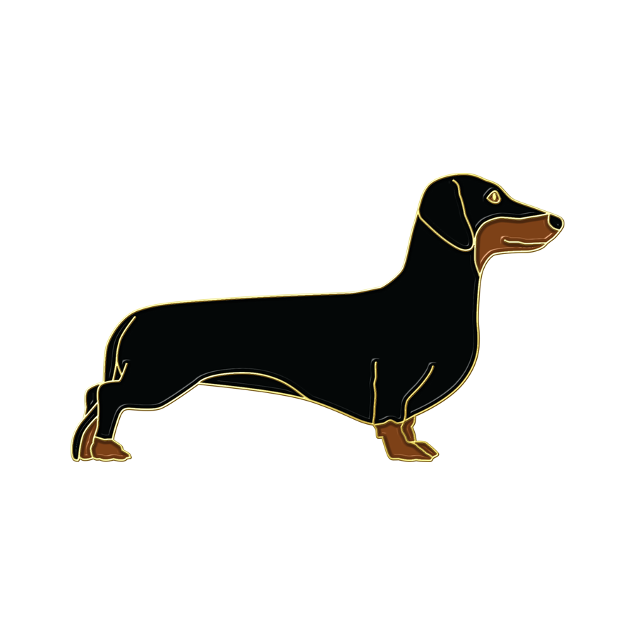 Boring Dachshund