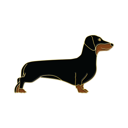 Boring Dachshund