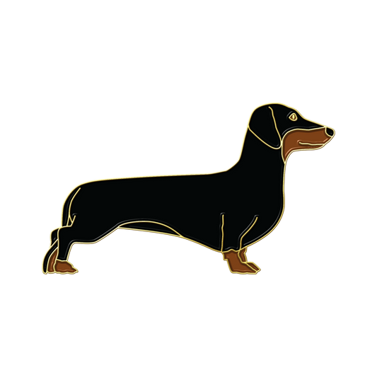 Boring Dachshund