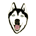 Boring Akino The Husky