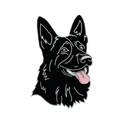 Boring German Shep