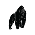 Boring Gorilla