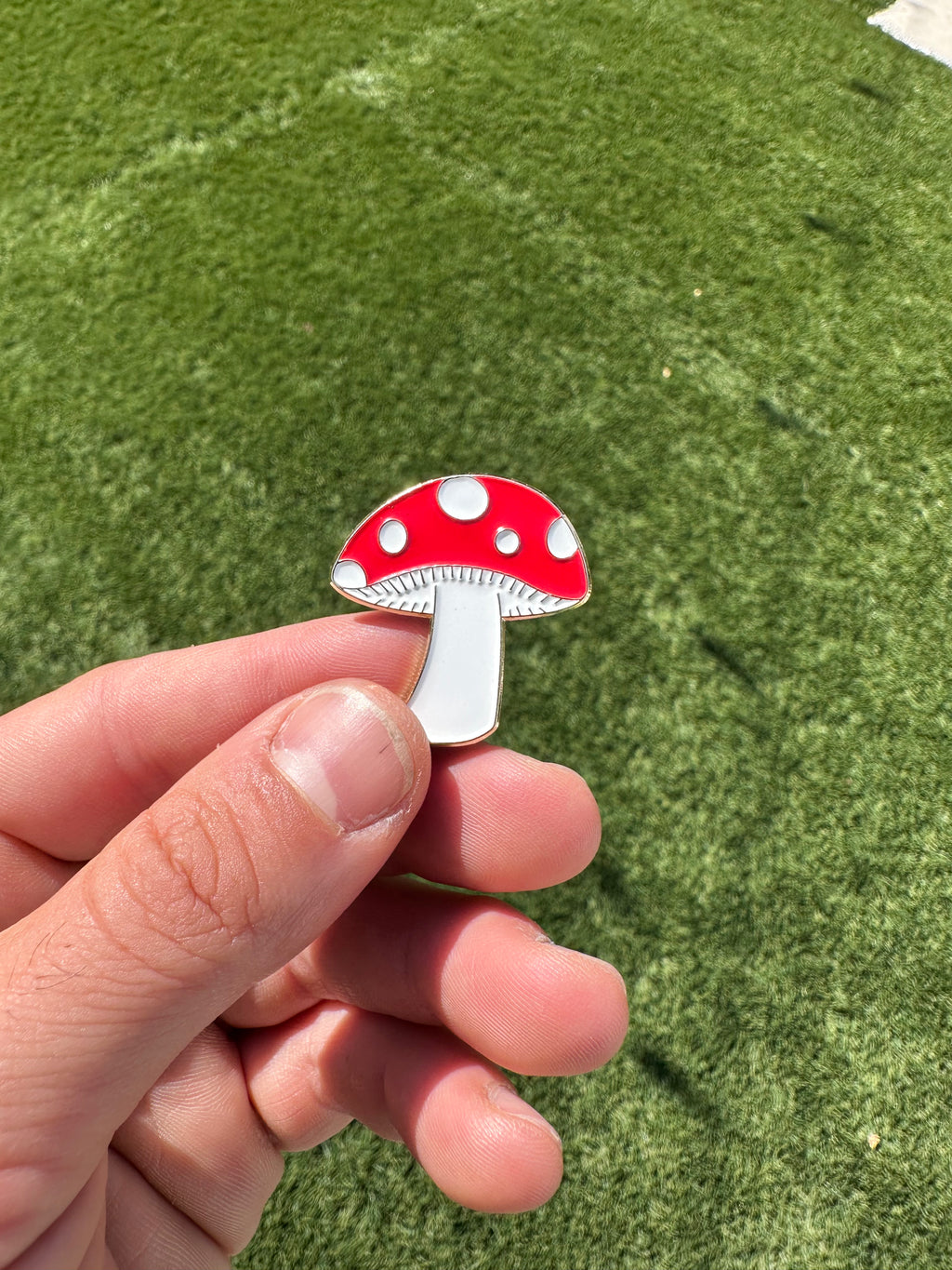 Boring Mushroom