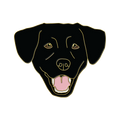Boring Black Lab
