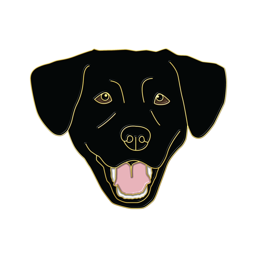 Boring Black Lab
