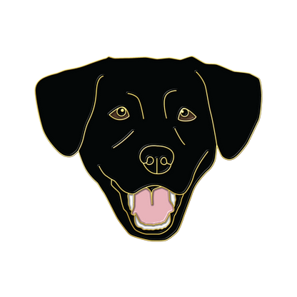 Boring Black Lab