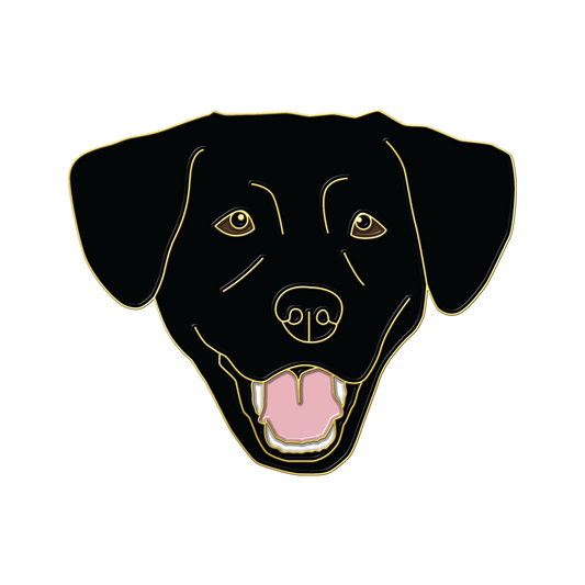 Boring Black Lab