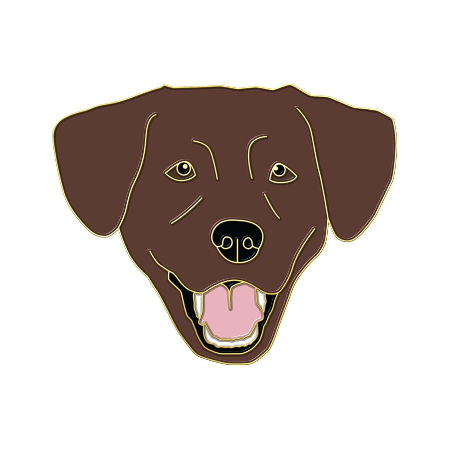 Boring Chocolate Lab