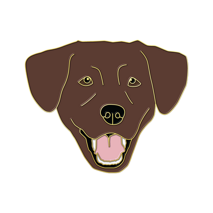 Boring Chocolate Lab