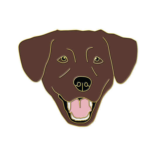 Boring Chocolate Lab