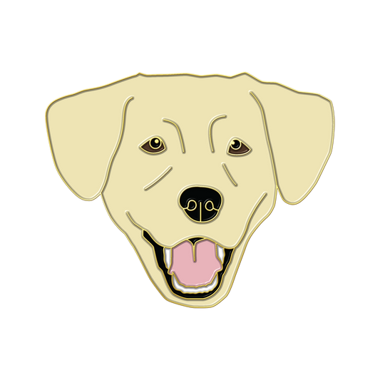 Boring Yellow Lab
