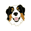 Boring Aussie