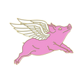 Boring Flying Pig