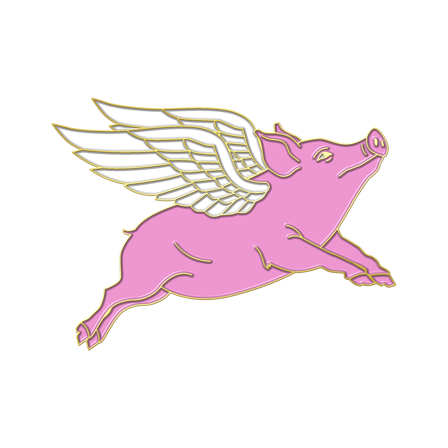 Boring Flying Pig