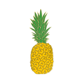 Boring Pineapple