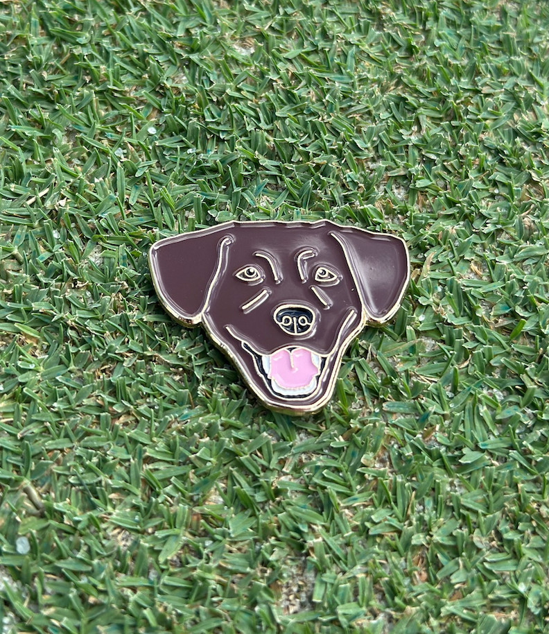 Boring Chocolate Lab