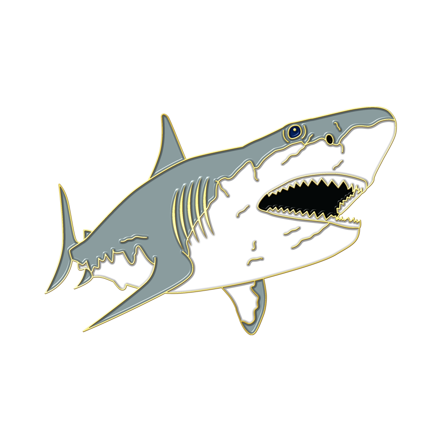 Boring Shark