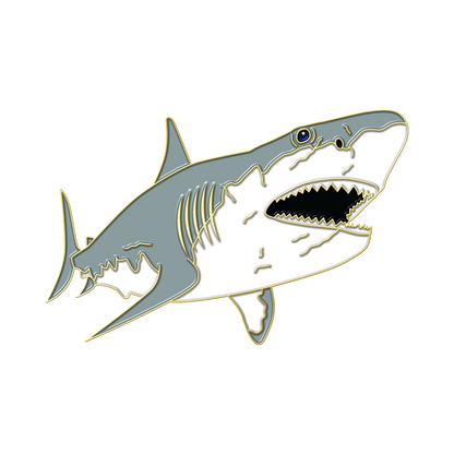 Boring Shark