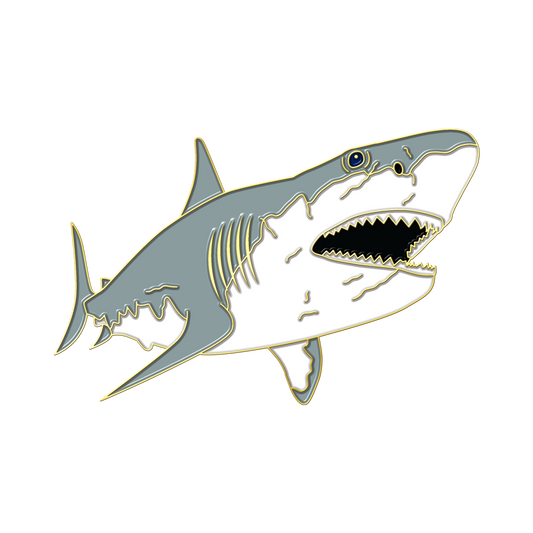 Boring Shark