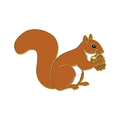 Boring Squirrel