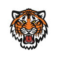 Boring Tiger